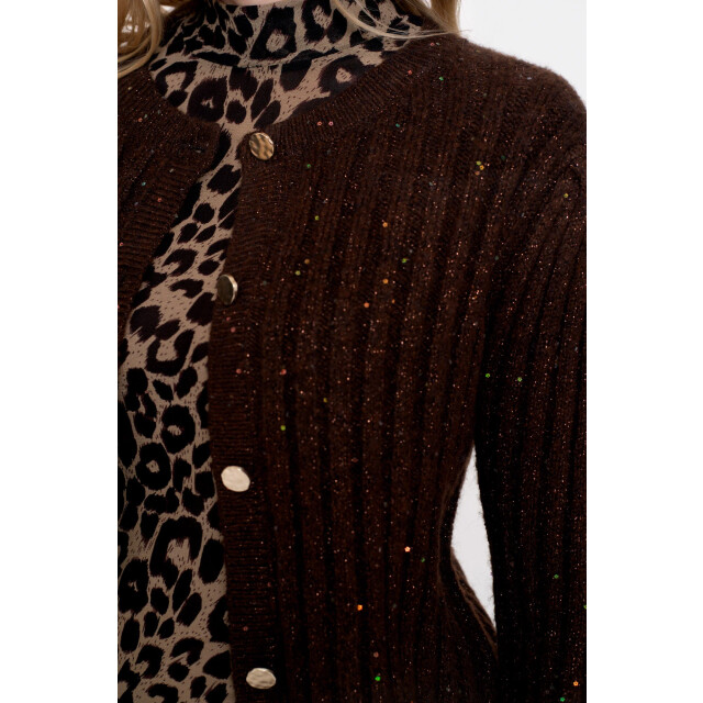 Geisha 54541-14 775 cardigan lurex & sequinces brown/copper 54541-14 775 large