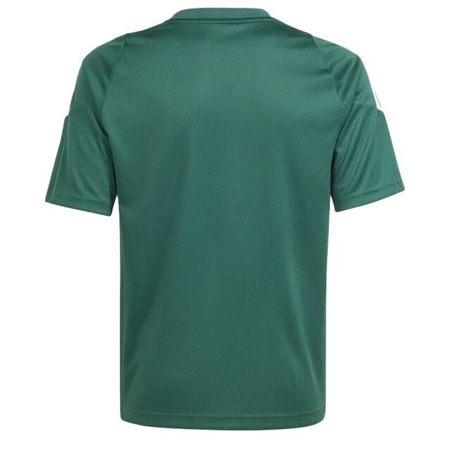 Adidas Kinder/kinder tiro 24 trui UTPP2505_green large Adidas Kinder/kinder tiro 24 trui UTPP2505_green large