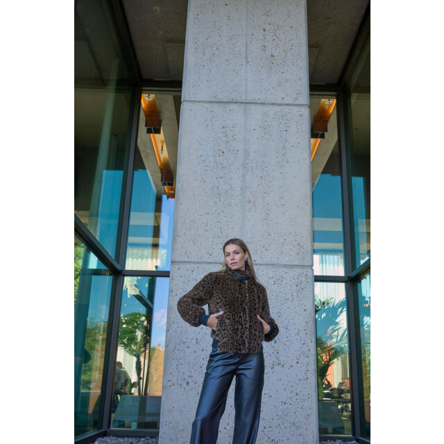 Rino & Pelle Ambra.7012511 rino en pelle short fake fur jacket leopard Ambra.7012511 Leopard large Rino & Pelle Ambra.7012511 rino en pelle short fake fur jacket leopard Ambra.7012511 Leopard large