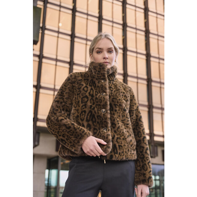 Rino & Pelle Ambra.7012511 rino en pelle short fake fur jacket leopard Ambra.7012511 Leopard large Rino & Pelle Ambra.7012511 rino en pelle short fake fur jacket leopard Ambra.7012511 Leopard large