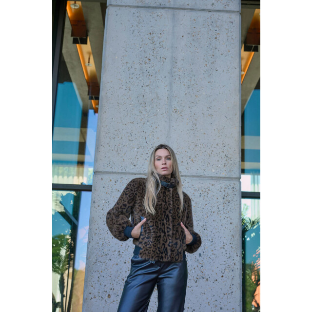 Rino & Pelle Ambra.7012511 rino en pelle short fake fur jacket leopard Ambra.7012511 Leopard large Rino & Pelle Ambra.7012511 rino en pelle short fake fur jacket leopard Ambra.7012511 Leopard large