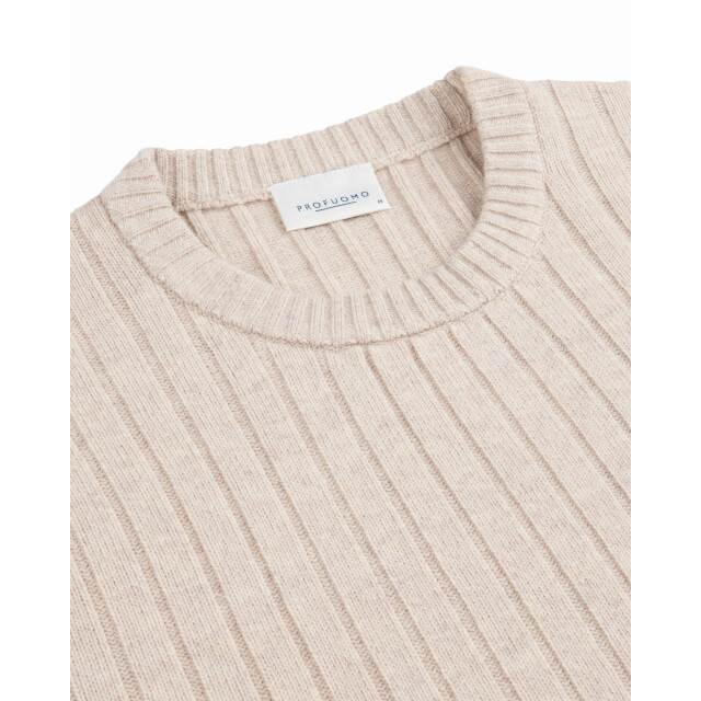 Profuomo Trui ronde hals 106165-001-XL large