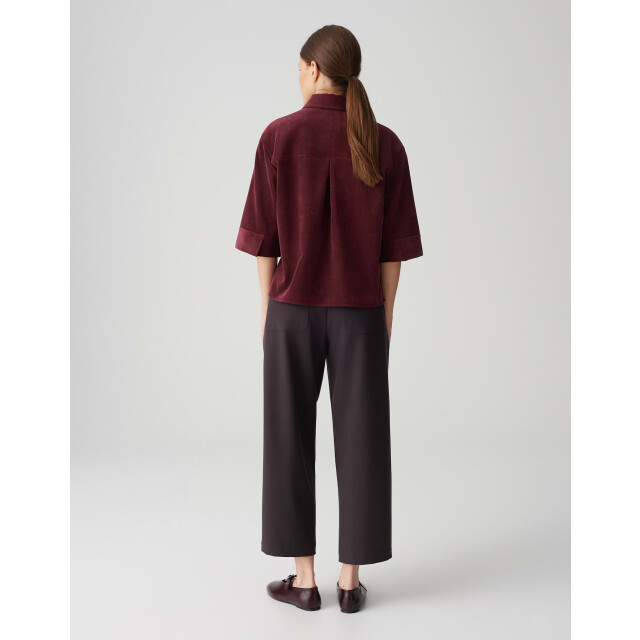 Opus faisa 1044165282100 40036 06615.770.0202 large