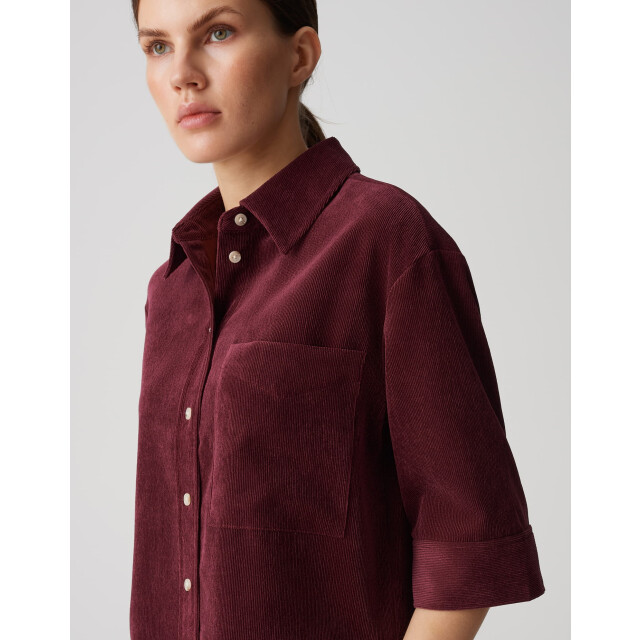 Opus faisa 1044165282100 40036 06615.770.0202 large