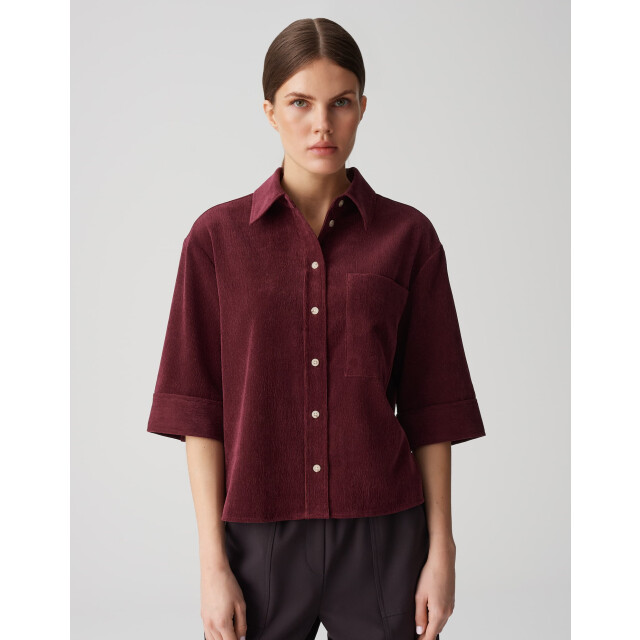 Opus faisa 1044165282100 40036 06615.770.0202 large