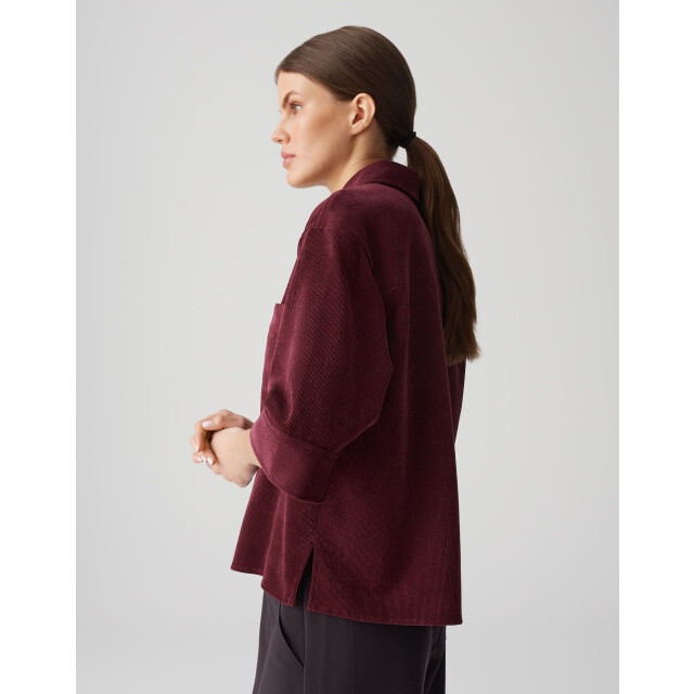 Opus faisa 1044165282100 40036 06615.770.0202 large