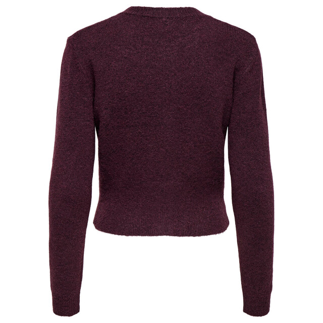 Only Vest 15358548 havanna Only Vest 15358548 HAVANNA large