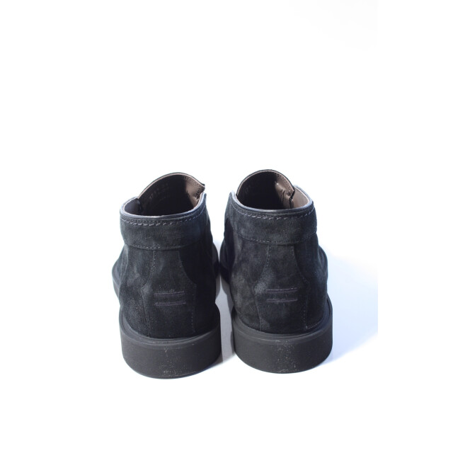 Greve Vito 1711  Vito 1711  large