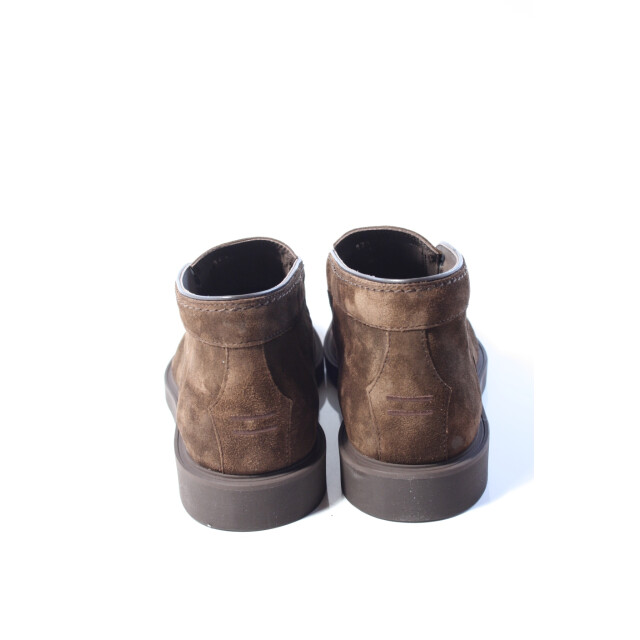 Greve Vito 1711  Vito 1711  large