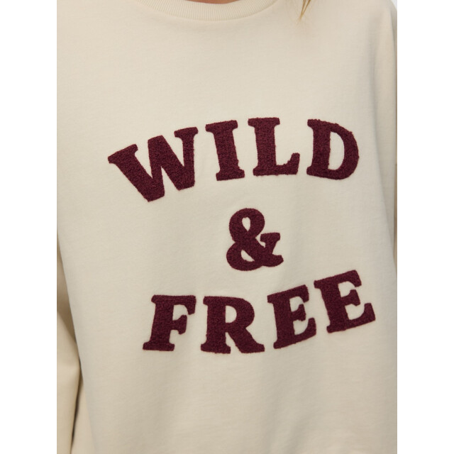 Vero Moda vmgenesis l/s sweatshirt jrs btq fr 10335686 birch syrah 06721.198.0032 large