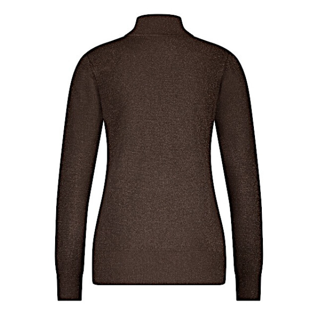 Red Button Top srb4685 turtle sparkle brown SRB4685 Turtle Sparkle - Brown large