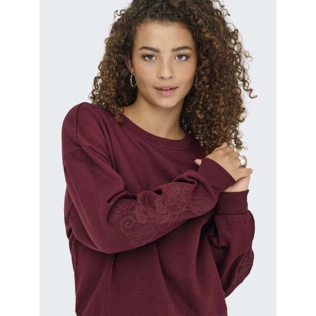 Only Onlbrooklyn l/s embroidery box swt cabernet/boho f 15355805-182651006 large Only Onlbrooklyn l/s embroidery box swt cabernet/boho f 15355805-182651006 large