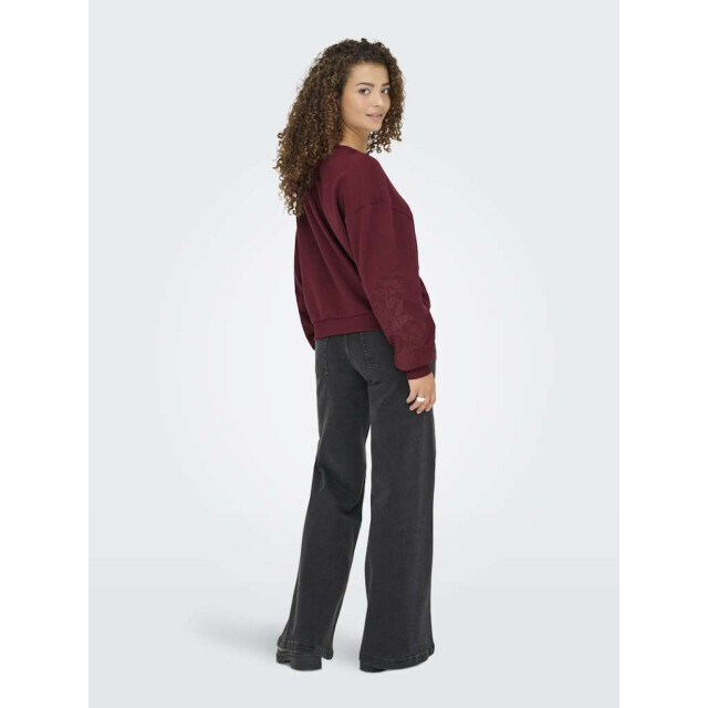 Only Onlbrooklyn l/s embroidery box swt cabernet/boho f 15355805-182651006 large Only Onlbrooklyn l/s embroidery box swt cabernet/boho f 15355805-182651006 large
