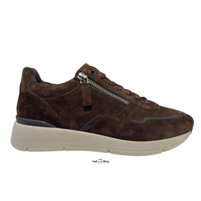 Greve Herenschoenen sneakers 3284.17 Walker large