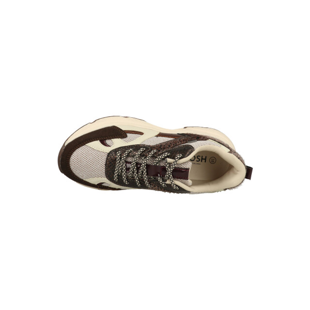 Posh by Poelman Ayoki c1210810psh7 / goud C1210810PSH7 large