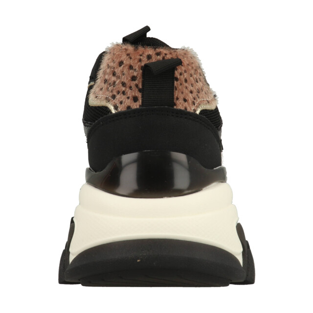 Posh by Poelman Polly cpolly-03psh2 CPOLLY large