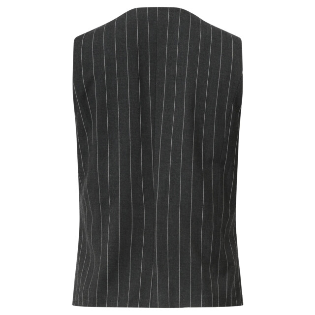 Smashed Lemon Modieus en getailleerd grijs en wit pinstriped gilet | 8720331385189 large