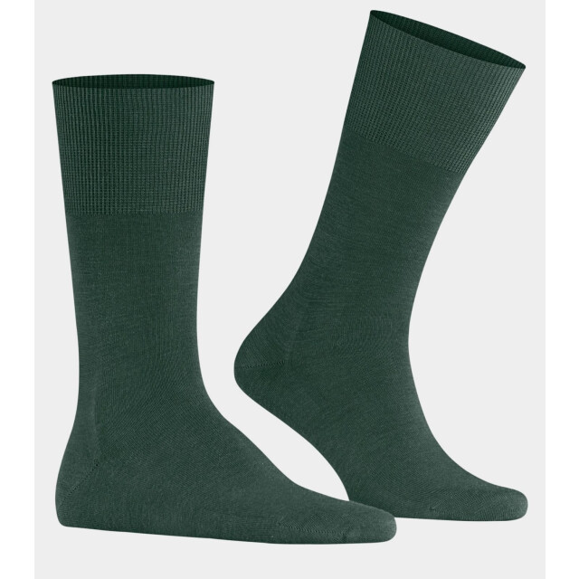 Falke 14435  14435  large