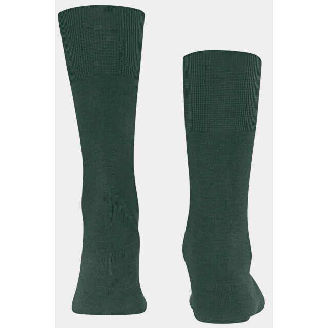 Falke 14435  14435  large