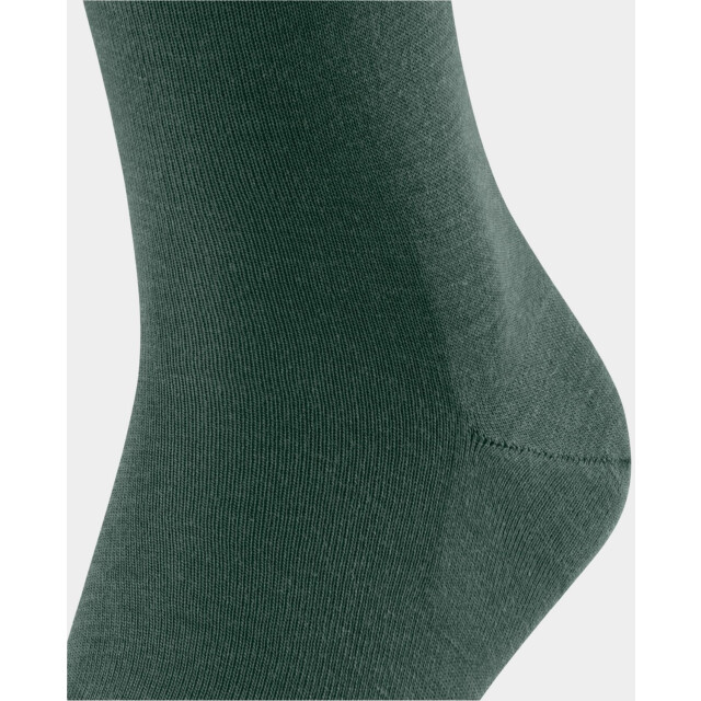 Falke 14435  14435  large