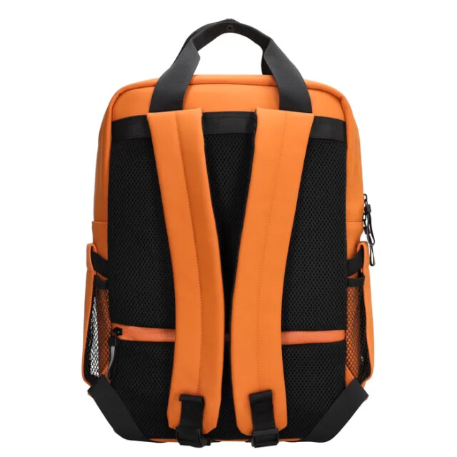 Beagles  23895  23895  large