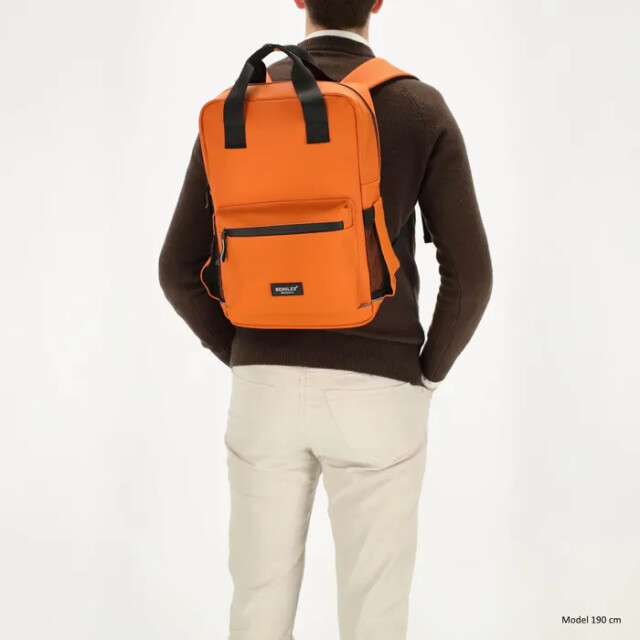 Beagles  23895  23895  large