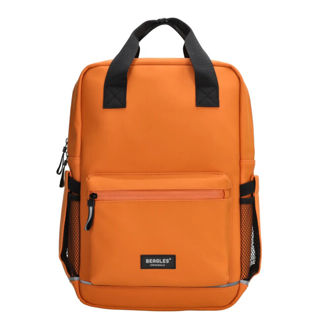 Beagles  23895  23895  large