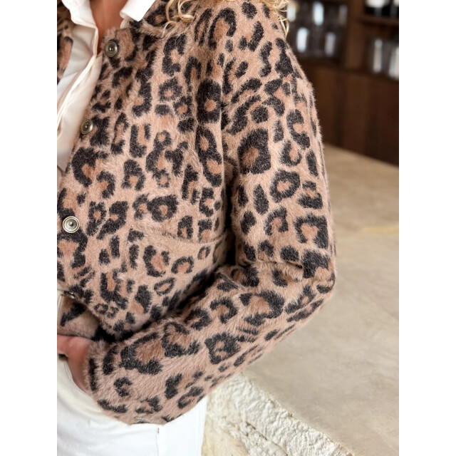 Rino & Pelle Bubbly.5012511 rino en pelle boxy jacket leopard Bubbly.5012511 Leopard large