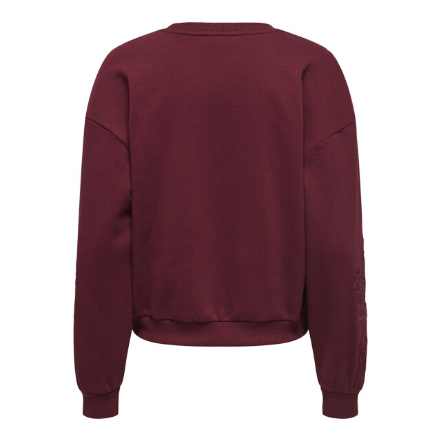 Only Onlbrooklyn ls embroidery box swt wijn 4209.43.0015 large