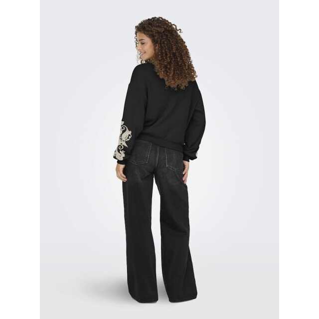 Only Onlbrooklyn ls embroidery box swt - 4209.80.0007 large