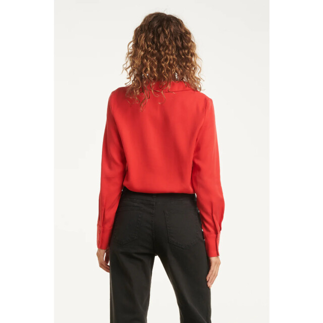 Smashed Lemon Doorknoopshirt met v hals & kraag | 8720331380252 large