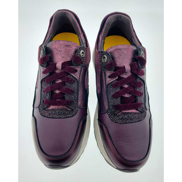 Xsensible 33000.3 Sneakers Bordeaux 33000.3 large
