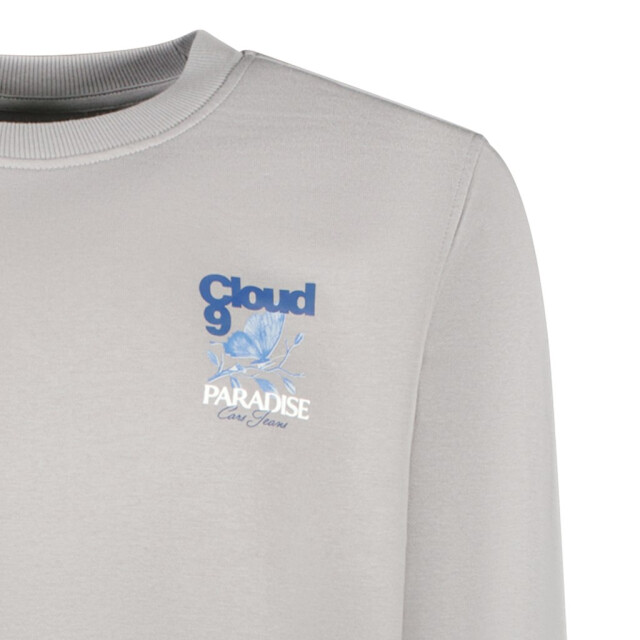 Cars Cloud sw mid grey steel 5209.84.0011 large