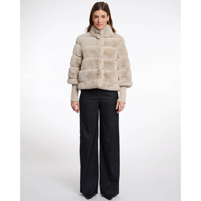 Rino & Pelle Jack feline.7002512 Rino & Pelle Jack Feline.7002512 large
