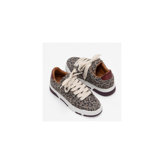 DWRS Label sneaker met verwisselbaar voetbed Whitby leopard J6972-02 large