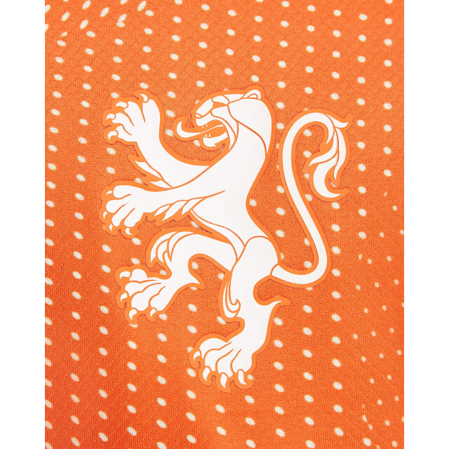 Nike knvb y nk df stad jsy ss hm replica wedstrijdshirt voetbal - 070155_470-XL large