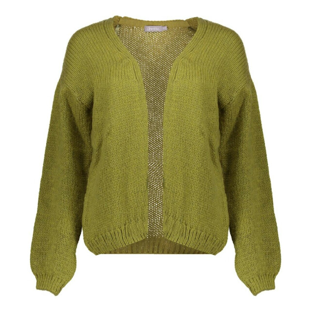 Geisha cardigan basic 54606-70 570 moss 06741.360.0024 large