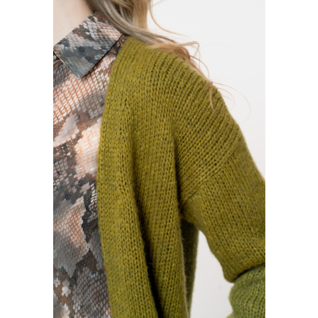 Geisha cardigan basic 54606-70 570 moss 06741.360.0024 large