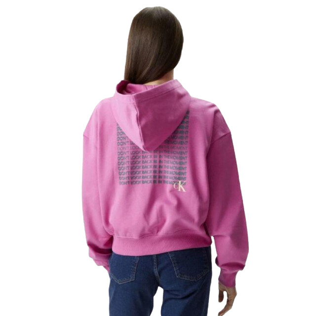 Calvin Klein Dames full zip hoodie UTPP2730_pink large