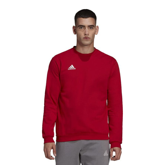 Adidas Heren entrada 22 sweatshirt UTPP1343_teampowerred large