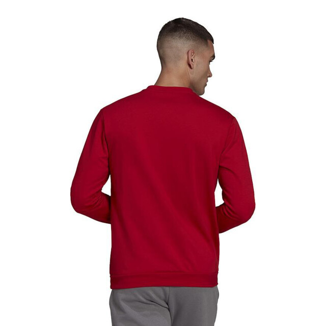 Adidas Heren entrada 22 sweatshirt UTPP1343_teampowerred large
