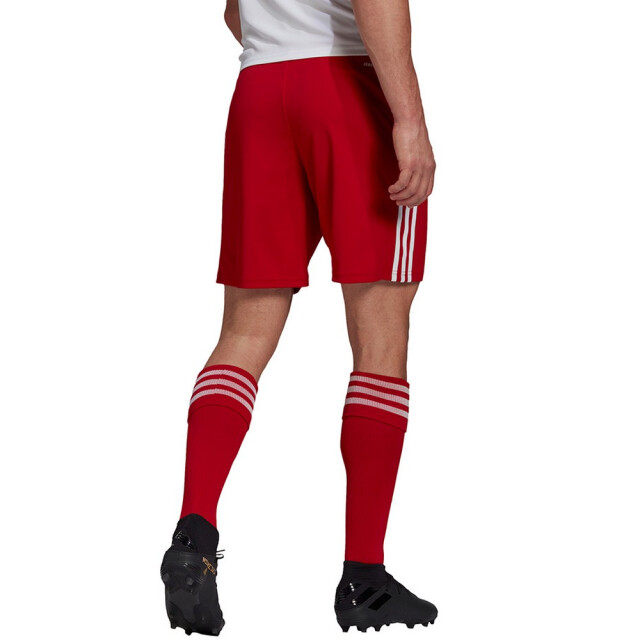 Adidas Heren squadra 21 korte broek UTMR1858_redwhite large Adidas Heren squadra 21 korte broek UTMR1858_redwhite large
