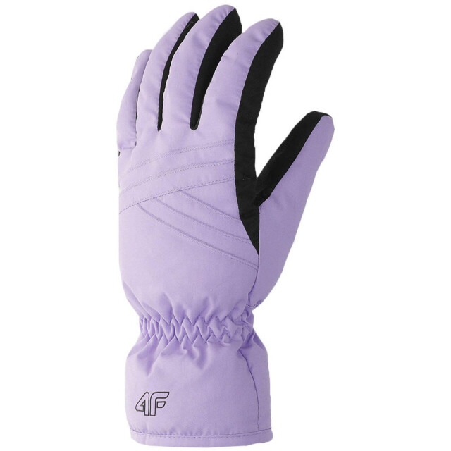 4F Dames waw23afglf106 skihandschoenen UTMR78453_blackviolet large 4F Dames waw23afglf106 skihandschoenen UTMR78453_blackviolet large