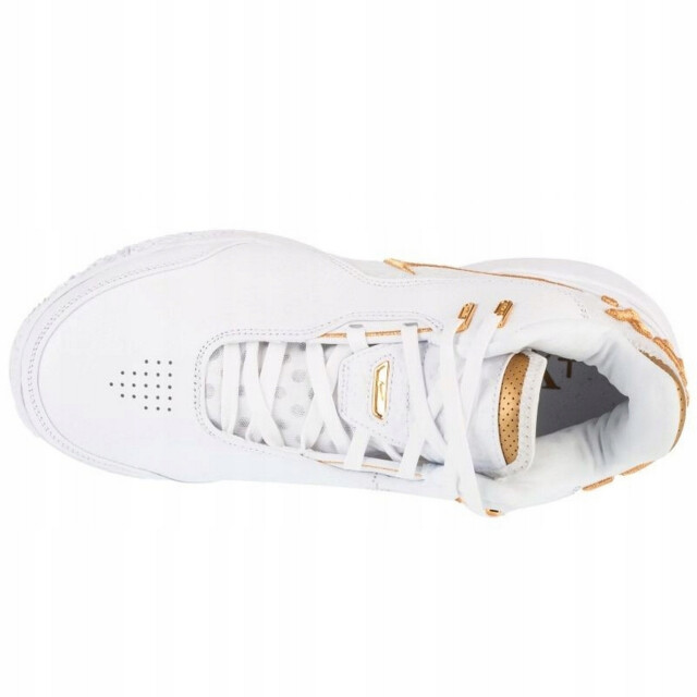 Nike Heren lebron james leren trainers UTPP6970_whiteblack large