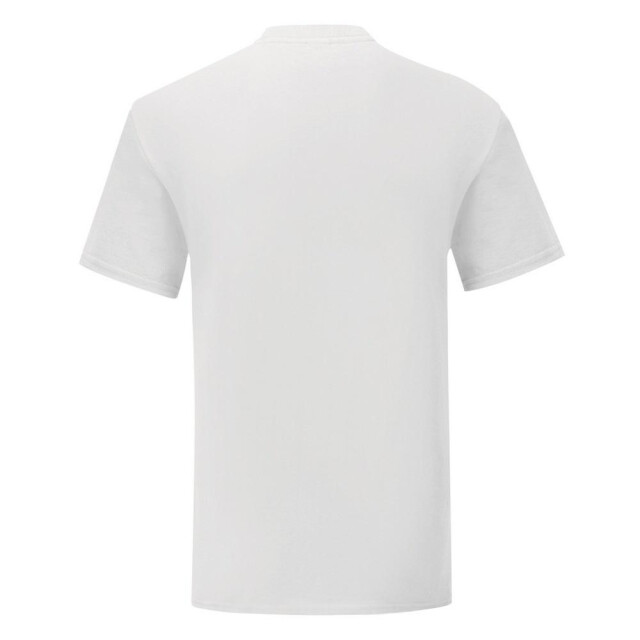 Fruit of the Loom Heren iconic 150 v hals t-shirt UTFK3357_white large