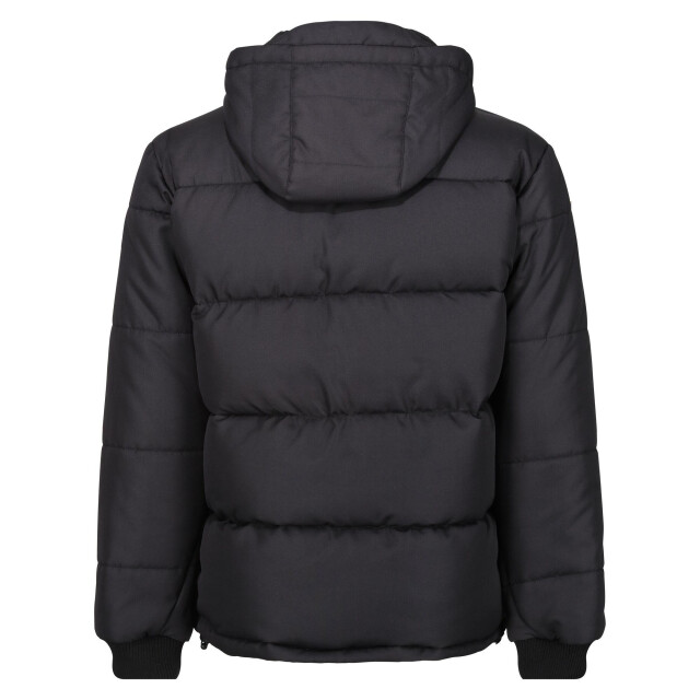 Regatta Heren northdale geïsoleerde jas UTLT410_black large