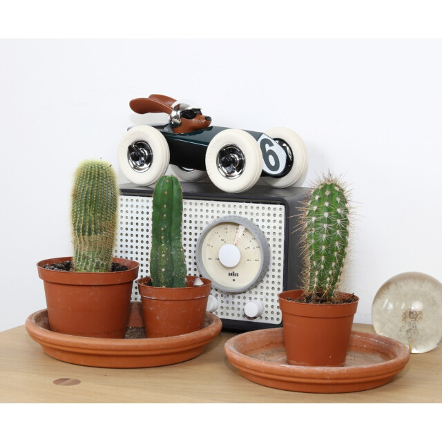 Play For Ever  7.r82  07.R802  large