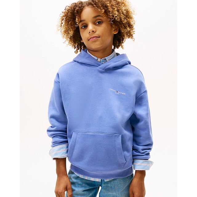 Tommy Hilfiger Sweat ks0ks00660 Tommy Hilfiger Hoodie KS0KS00660 large