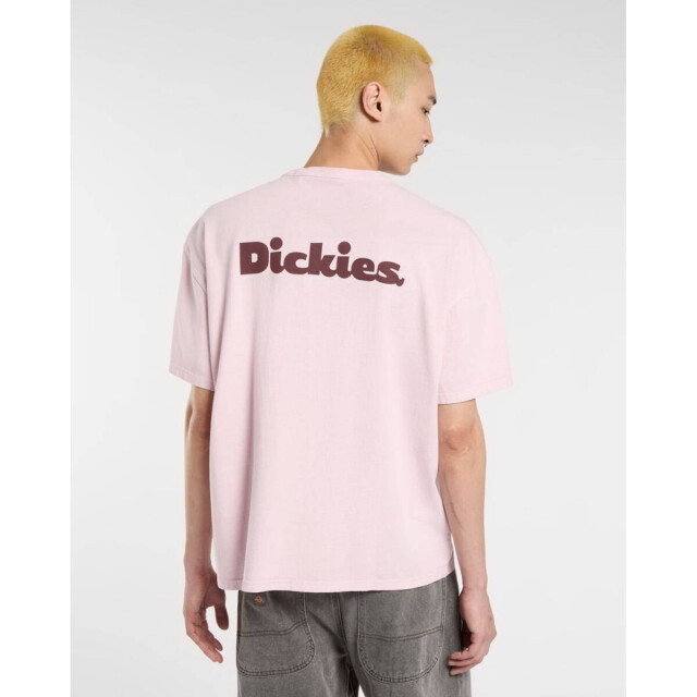 Dickies T-shirt korte mouw dk0a87qrk731 Dickies T-shirt korte mouw DK0A87QRK731 large