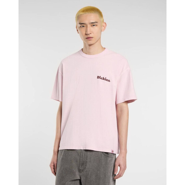 Dickies T-shirt korte mouw dk0a87qrk731 Dickies T-shirt korte mouw DK0A87QRK731 large